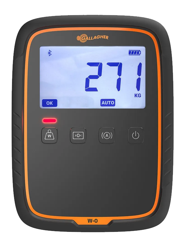 W-0 Indicador de Pesaje 1