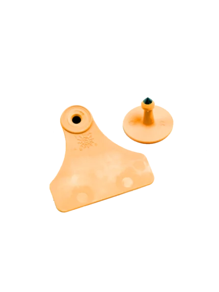 Allflex Mediana Naranja Lisa