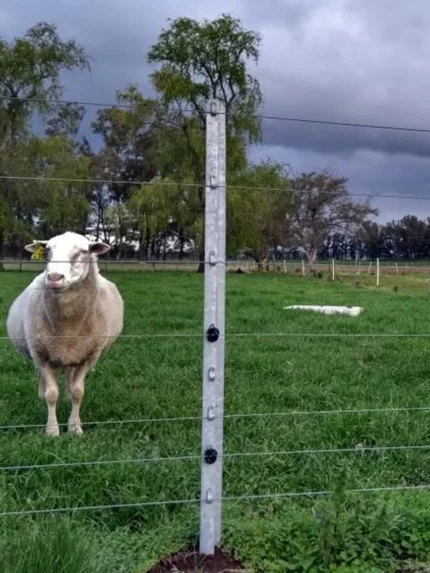 TEC-METAL POSTE Z GALVANIZADO 1,50 MTS (CHANCHERO/LANERO)